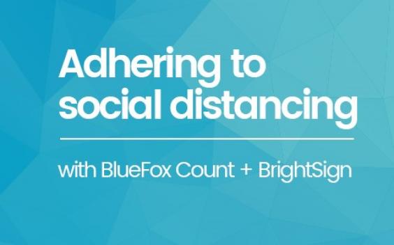 BrightSign and BlueFox Count Header2 1