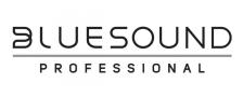 BLUESOUND PROFESSIONAL