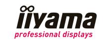 IIYAMA