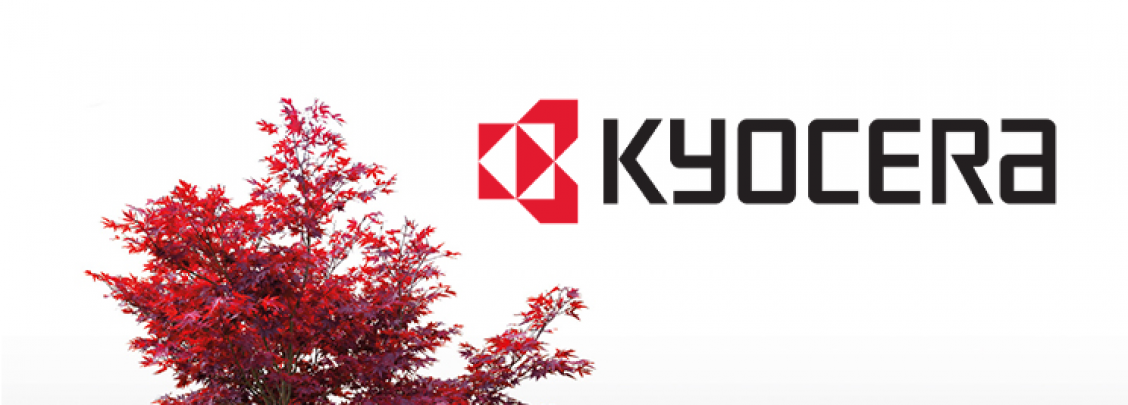 KyoTreeWithLogo