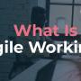 Agile Working What Is Blog Header