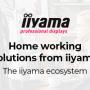 B230 Q123 iiyama Home Office Blog Thumbnail M2