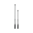 CGN99 C1 w541h405