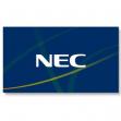 NEC 60004882 Display 5