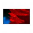 NEC 60005056 Display 4