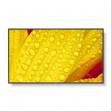 NEC M1 2 Series front content 1600x1201