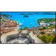 Panasonic TH 49CQE1W Display 12