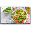 sony FW75BZ35L Display 22