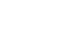 DVS Ltd