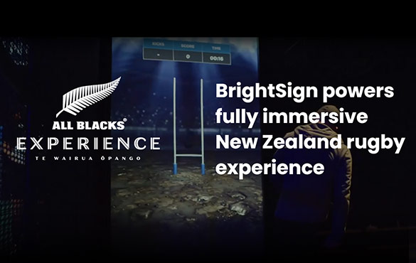 All Blacks Experience Case Study