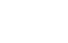 DVS Ltd