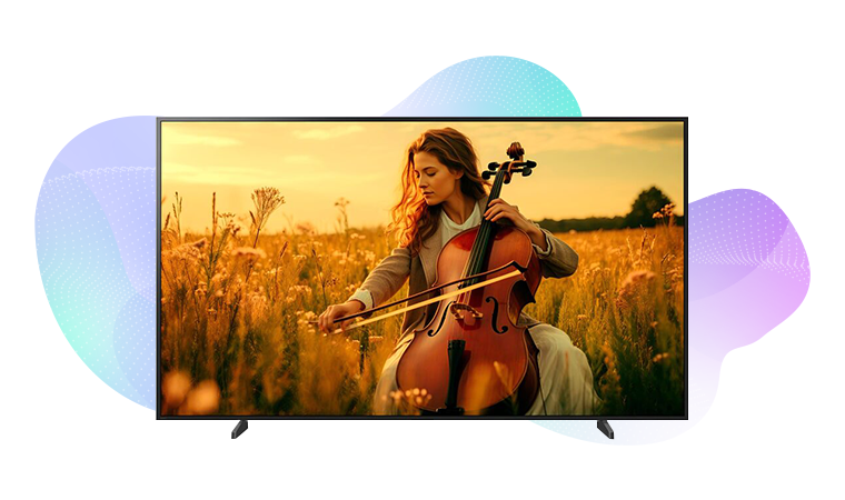Sony commercial TV