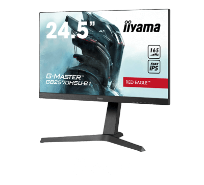 iiyama G-Master 24.5” Gaming Monitor