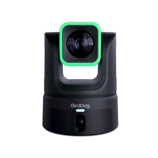 BirdDog XL Ultra Black