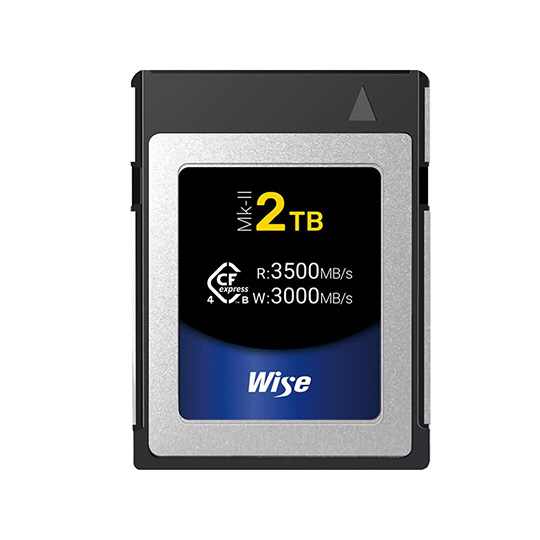 Wise Advanced CFX4-B2048M2 Memory Card