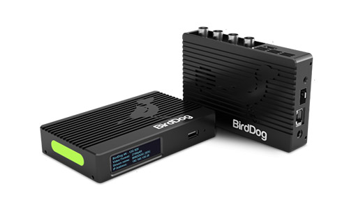 BirdDog 4k HDMI