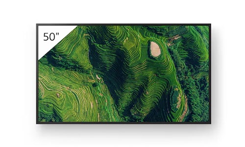 Sony BRAVIA BZ35P display